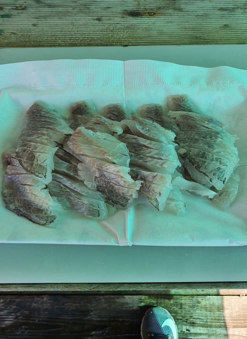 2월27일 좌대조황