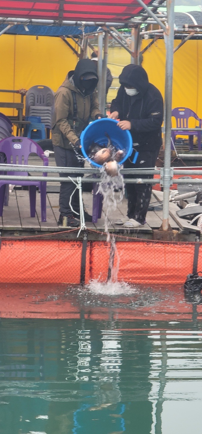 4월30일 참돔1.jpg