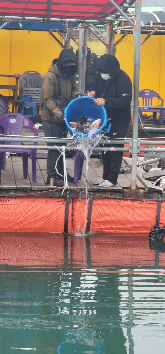 4월30일 참돔2.jpg